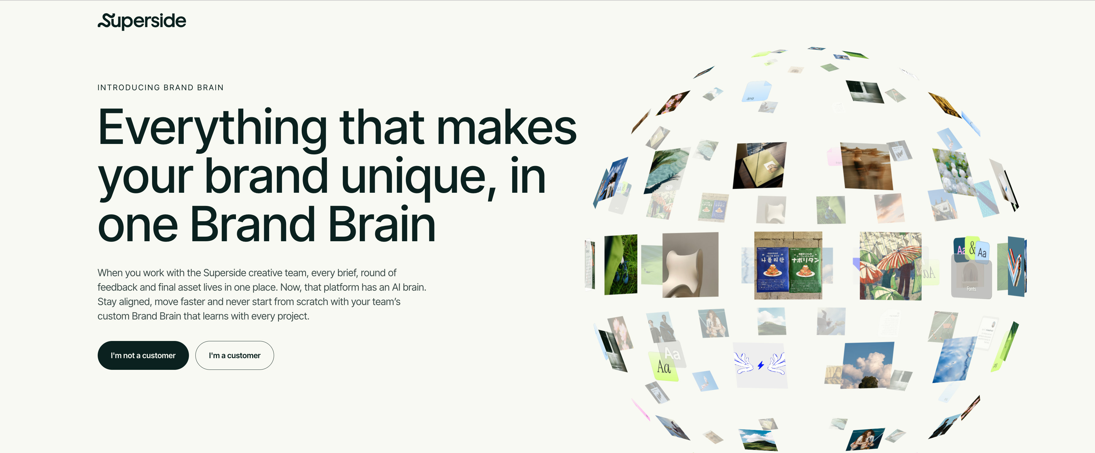 brand brain