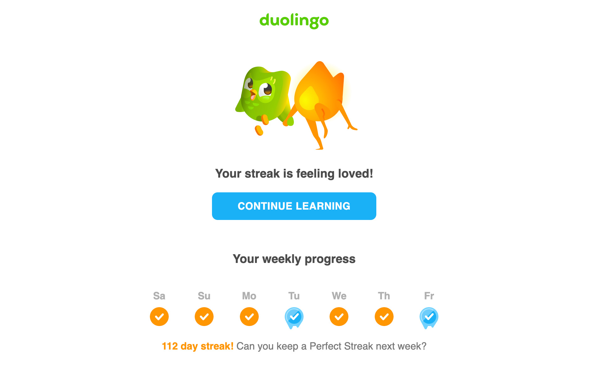 duolingo1